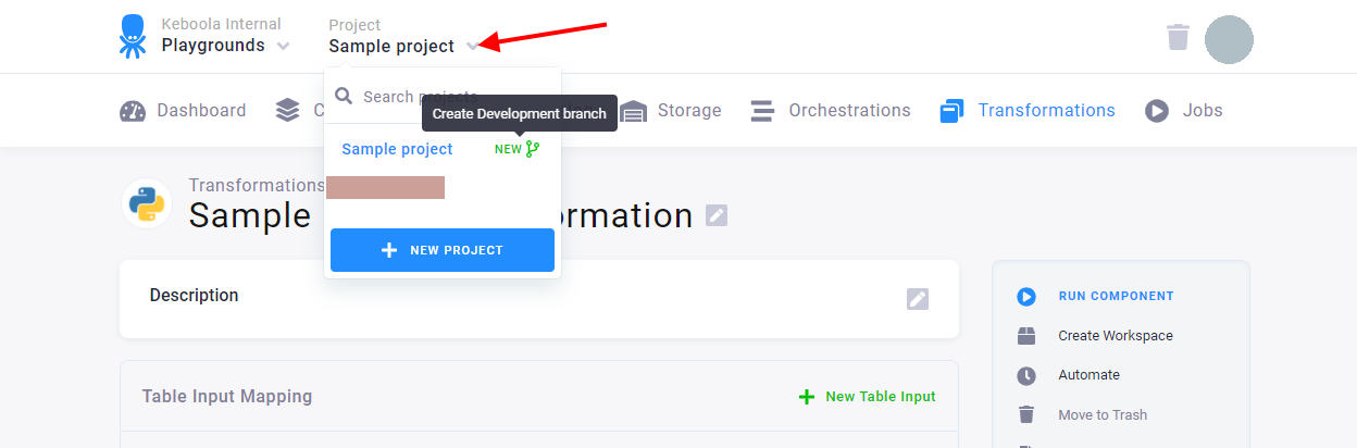 Screenshot - Create Development Branch